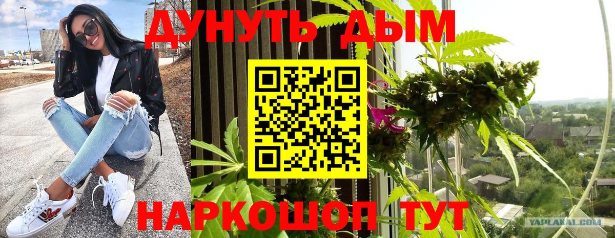 Шишки марихуана SATIVA & INDICA  Марихуана VHQ  Вход с VPN  Ковров  Шишки марихуана индика  МАРИХУАНА Amnesia 